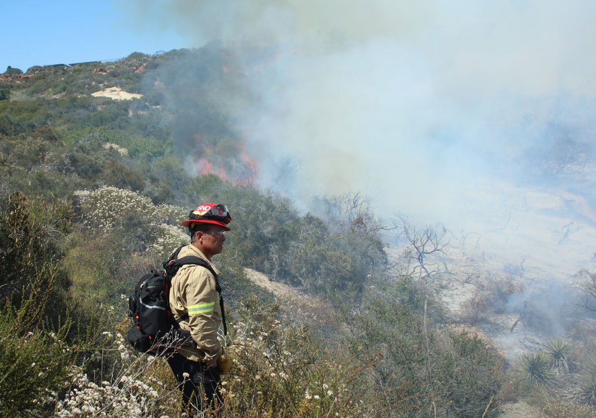 A lookout with San Diego Fire-Rescue Department's Engine 40 holds his position directly in front of a brush fire on June 25 near Torrey Pines State Natural Reserve. Photo by Ryan Grothe