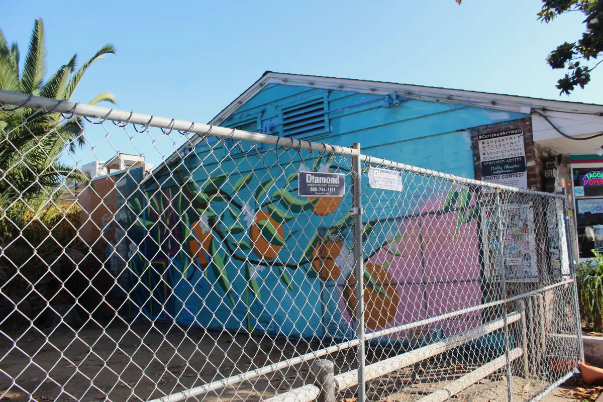 A fence surrounds the property next to Señor Grubby’s restaurant, blocking access to the Carlsbad Art Wall. Photo by Fiona Bork