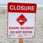 A portion of the beach in Del Mar is closed until June 4 after a shark bit a swimmer on Sunday morning. File photo 