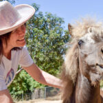 Laura Van Eyck and miniature horse and service animal Gigi. Photo by Samantha Nelso