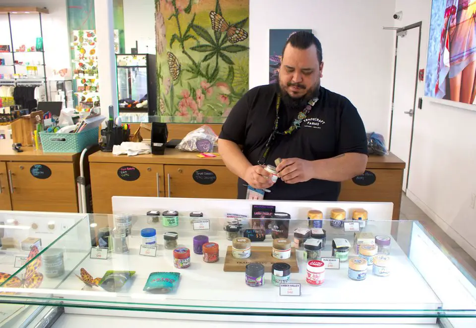 Edgar Gaytan, manager at Tradecraft Farms in Vista. The city is considering adjusting Measure Z to allow cannabis lounges. File photo/Leo Place
