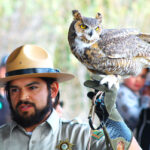 San Diego County Park Ranger Ruben Meraz introduces Mutaah the great horned owl to families at the San Elijo Lagoon Visitor Center on Saturday in Encinitas. Photo by Leo Place