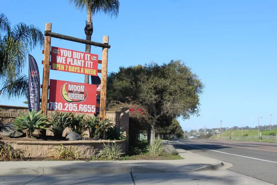 A developer has purchased the property that currently serves as Moon Valley Nursery with plans to turn it into a mixed-use community. Photo by Samantha Nelson