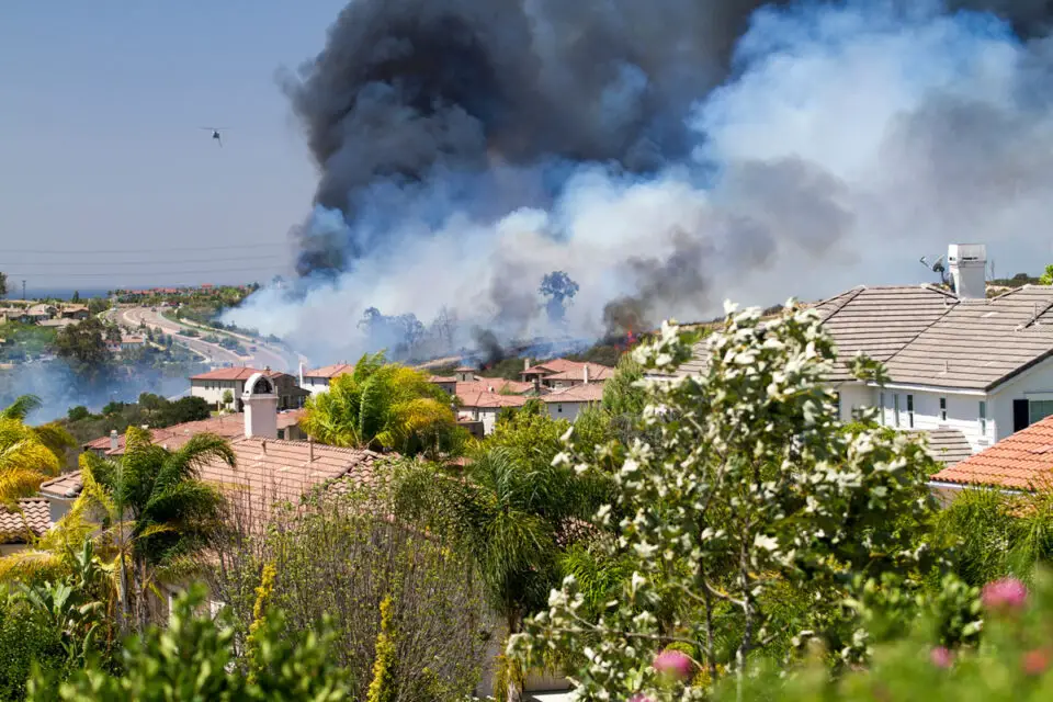 A 2014 brush fire in a residential Carlsbad neighborhood. Photo by Malisa Nicolau