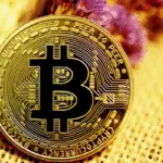 Bitcoin Image