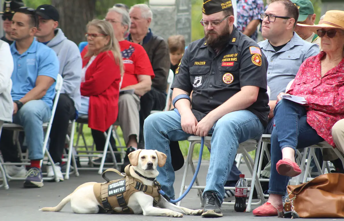 A member of the Veterans of Foreign Wars and his service animal attend a Memorial Day ceremony on May 26 in Fallbrook. Photo by Samantha Nelson