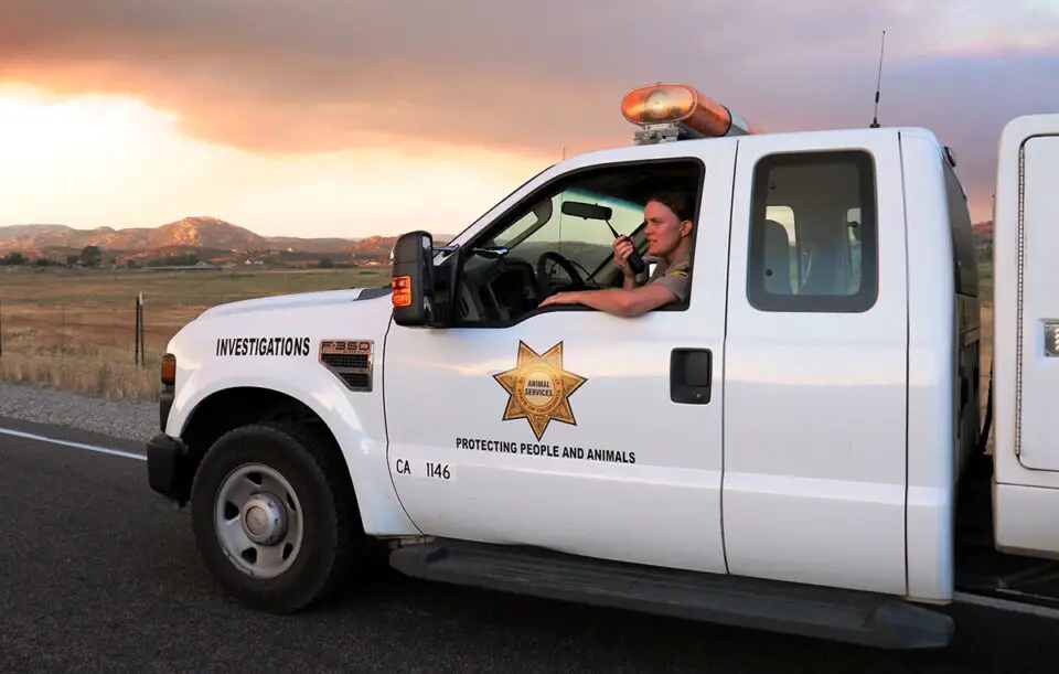 San Diego County Animal Services. Courtesy photo