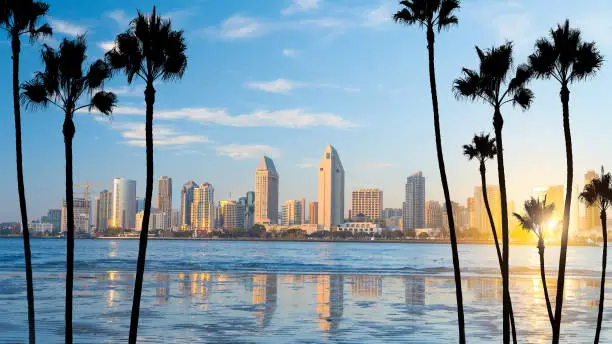 Coastal Tourism, a distant photo of the San Diego skyline over the bay, framed by palm trees