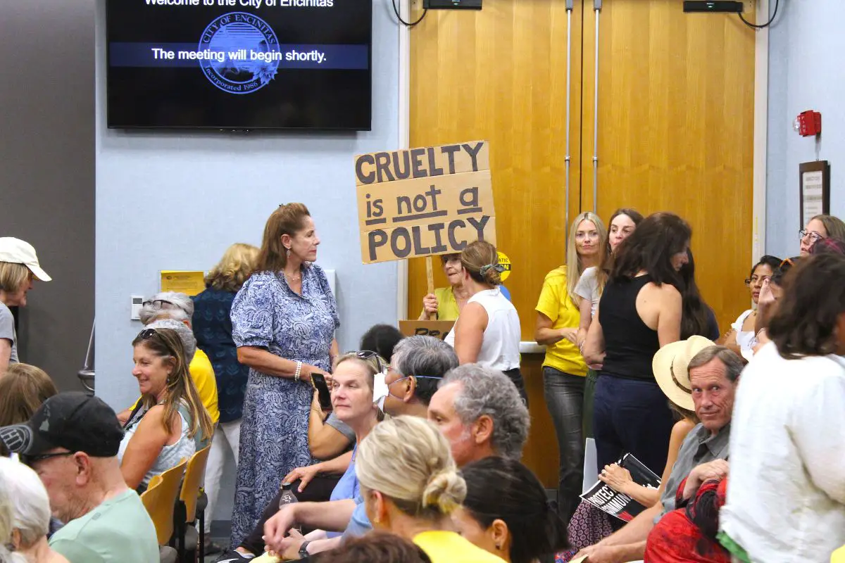 A protester holds a sign protesting ICE during the Encinitas City Council meeting on Wednesday. Photo by Cameron Adams