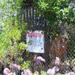 The gate to a small access trail along the Buena Vista Lagoon next to the Levyland property has been locked for over 20 years. The California Coastal Commission has ordered property owner John Levy to open the gate for public access. Photo by Leo Place