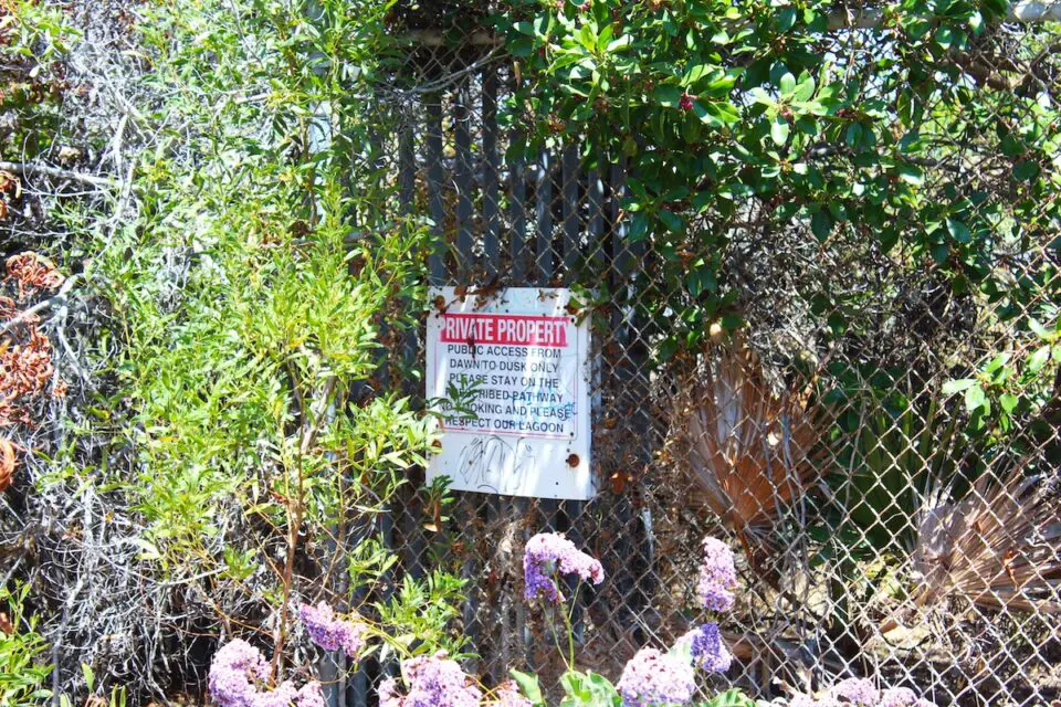 The gate to a small access trail along the Buena Vista Lagoon next to the Levyland property has been locked for over 20 years. The California Coastal Commission has ordered property owner John Levy to open the gate for public access. Photo by Leo Place