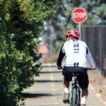 Bicyclists and pedestrians use the Coastal Rail Trail, a 44-mile stretch of dedicated pathway connecting Oceanside to San Diego. Photo by Samantha Nelson