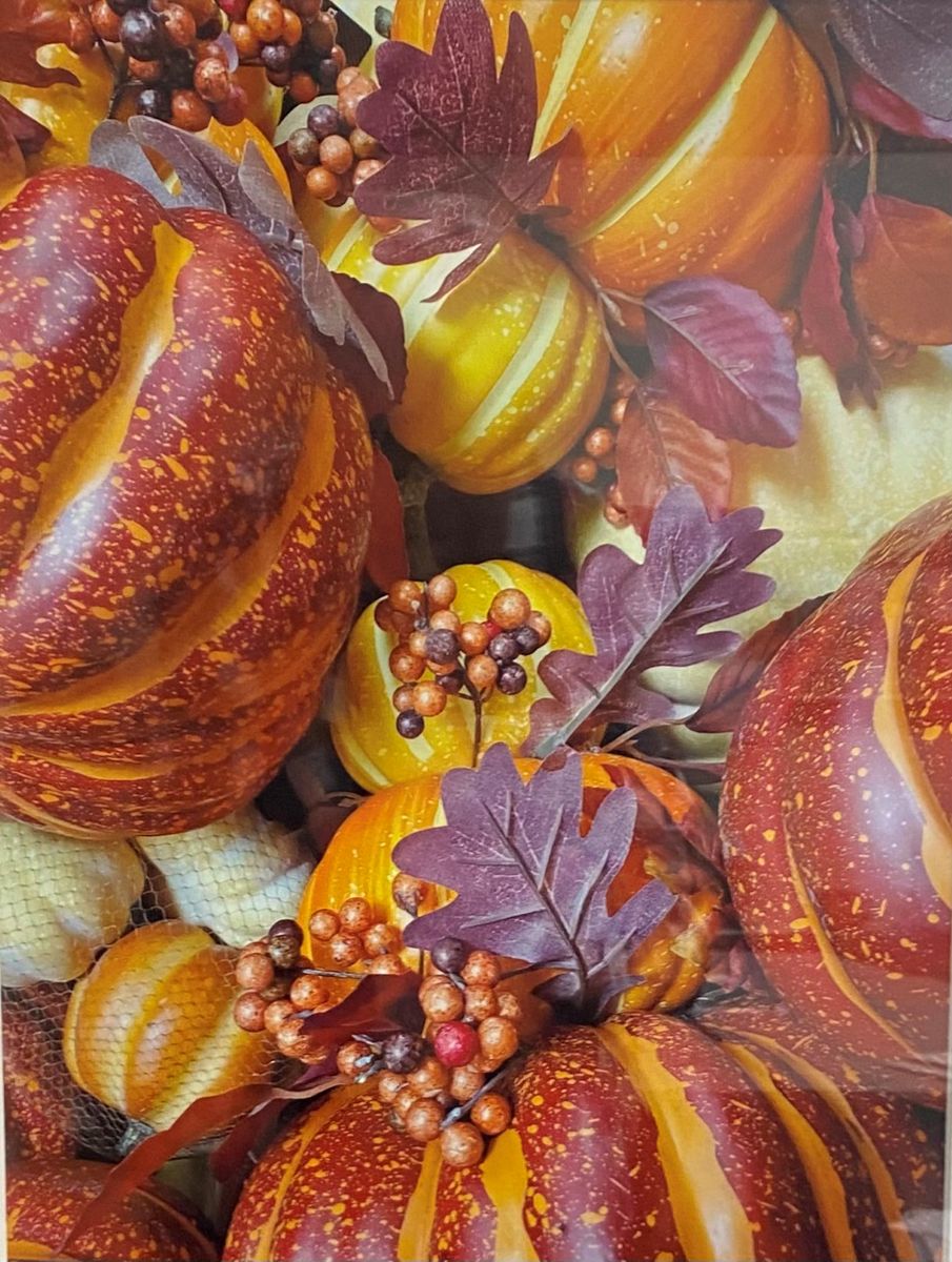 “Splendor in the Pumpkin,” by Joanne Van Doorn of Fallbrook won first place in the photography category of the Hello Autumn! Art Competition. Courtesy photo