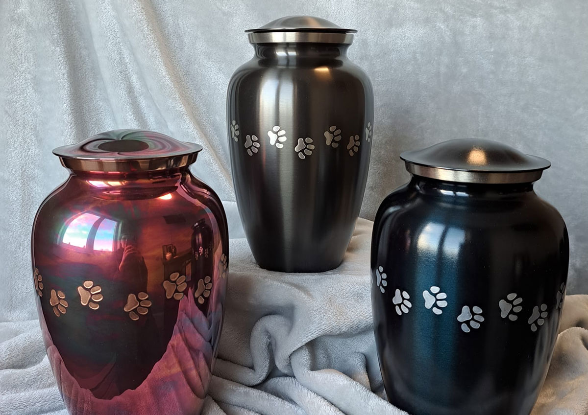 Pet urns offered by Angel Paws Pet Cremation are displayed at the company’s San Marcos shop. Courtesy photo/Angel's Paws