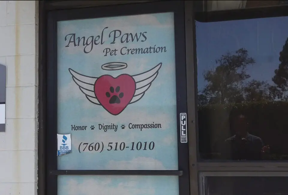The now-closed Angel Paws Pet Cremation in San Marcos is the subject of a criminal investigation by the San Diego County Sheriff's Office. Screenshot/CBS8