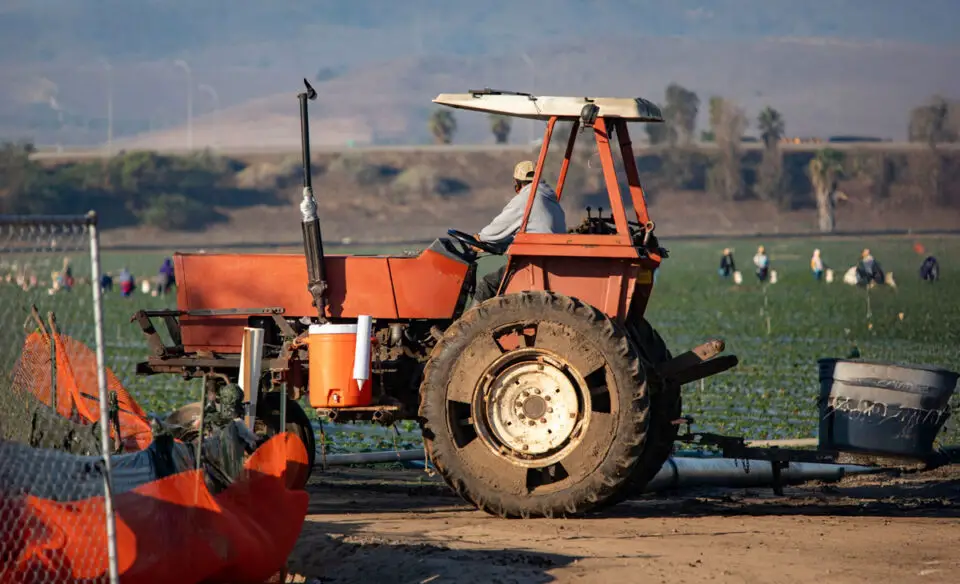 San Diego County agriculture grew by 1% to $1.67 billion last year, with vegetables surging into the top five crops. Photo by Frank Armstrong