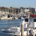 Oceanside Harbor has more than 900 boat slips. Photo by Samantha Nelson