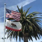 SD Regional Chamber of Commerce - flag outside building with palm tree