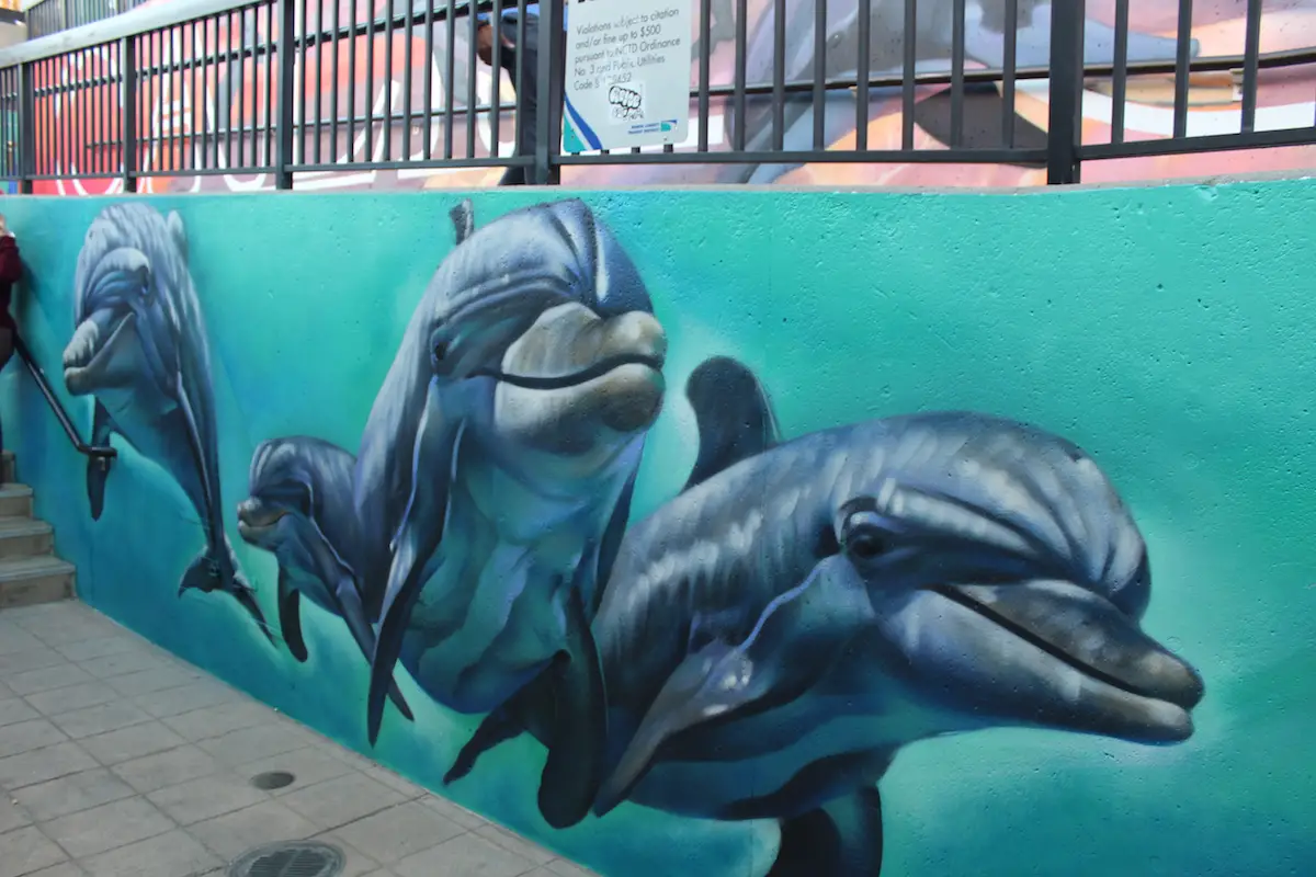 Dolphins now smile at pedestrians traveling through the Oceanside Transit Center tunnel. Photo by Samantha Nelson