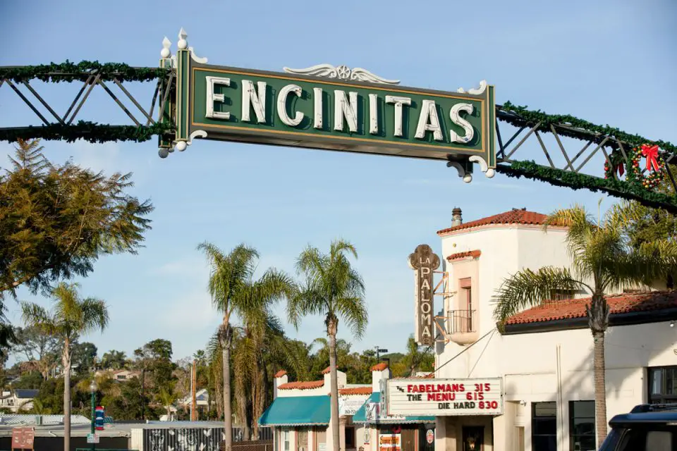 The Encinitas City Council is preparing to launch a business commission to boost communication between the city and local shop owners. Photo by Matt Gush
