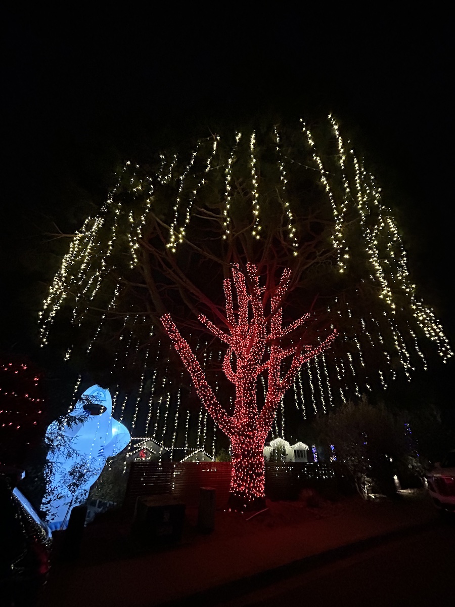 Holiday lights in Olivenhain.