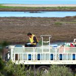 Crews complete work along San Dieguito Drive/Racetrack View Drive on Tuesday by the San Dieguito Lagoon in Del Mar. Photo by Leo Place