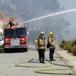 Del Mar firefighters respond to a brush fire in the Torrey Pines State Reserve in 2024. Courtesy City of Del Mar