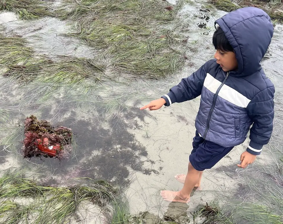 Kiaan, 5, a Carlsbad kindergardner. Courtesy photo