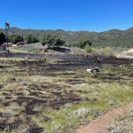 Fire crews mop up hot spots on Thursday at the site of the Crosley Fire near Highway 79 and Crosley Truck Trail. Courtesy photo/Cal Fire