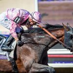 Three-year-old colt Sierra Leone won the Breeders’ Cup Classic on Saturday during the 41st Breeders’ Cup World Championships in Del Mar. Courtesy photo/Benoit