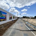Murals line a concrete-lined stretch of Escondido Creek, part of a new public art project celebrating the area’s native environment. Photo by Cameron Adams