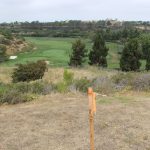 view of golf complex from property