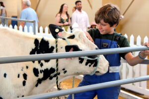 A young boy and a cow.