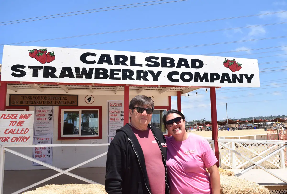After 70 years, Carlsbad strawberry farm continues family tradition