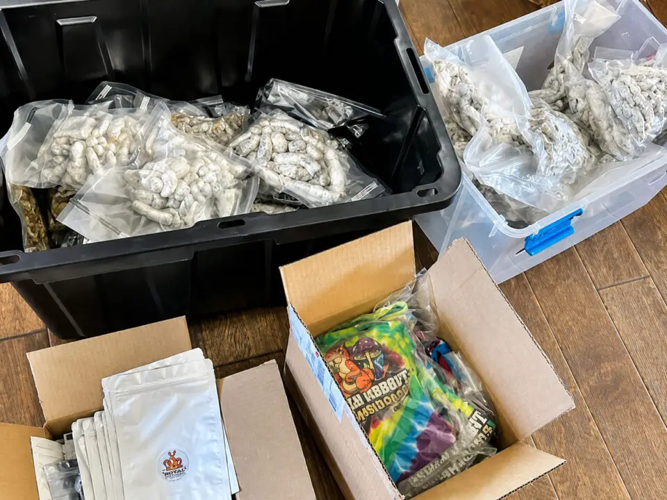 Deputies discovered an illegal operation to manufacture and distribute psilocybin mushrooms in Fallbrook and Bonsall. Courtesy photo/Sheriff's Office