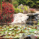 The Bamboo Pond at the San Diego Botanic Garden in Encinitas gives visitors a place to rest. Courtesy photo/SDBG