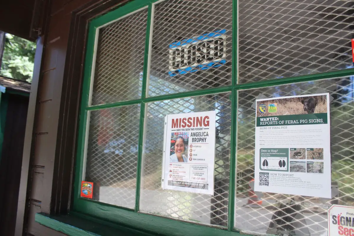 A missing-person poster for Angelica Brophy hangs on a bulletin board at Fry Creek Campground in the Cleveland National Forest on Palomar Mountain. Brophy, who has been missing since July 6, had her car found in nearby Palomar Mountain State Park on July 9. Photo by Samantha Nelson