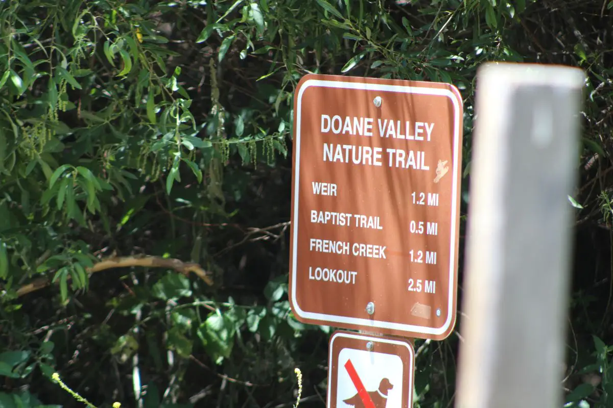 Angelica Brophy's car was found parked near Doane Pond and the Doane Valley Nature Trail on July 9, three days after she was reported missing. Photo by Samantha Nelson