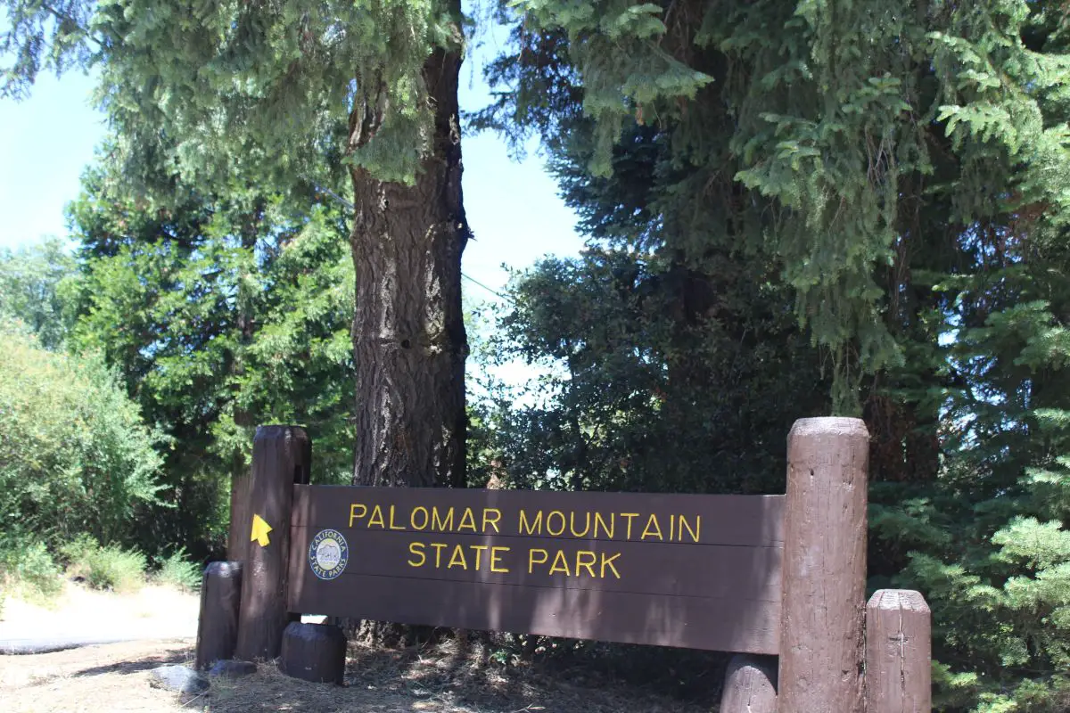 Palomar Mountain State Park
