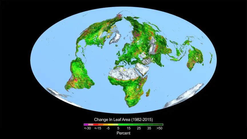 This image shows the change in leaf area across the globe from 1982-2015. Image by Boston University/R. Myneni