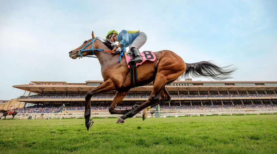 Jockey Geovanni Franco rides Shamrockin during Opening Day at the Del Mar Racetrack in 2024. Photo by Alex Evers