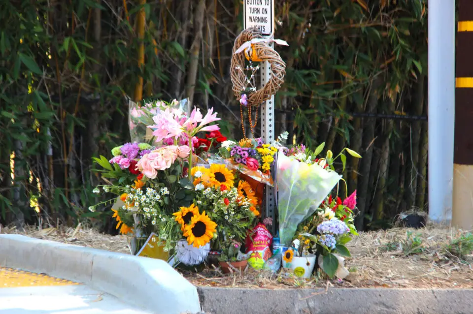 Flowers and family photos mark a roadside memorial for 17-year-old Seraphina Rose Fadick on El Camino Del Norte in Encinitas. Photo by Leo Place