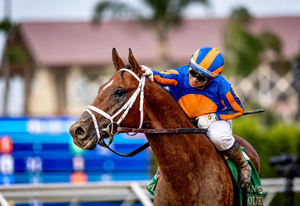 Umberto Rispoli pats Journalism after the pair won the Grade II San Diego Handicap on Saturday at Del Mar Racetrack. Photo via Instagram/Umberto Rispoli