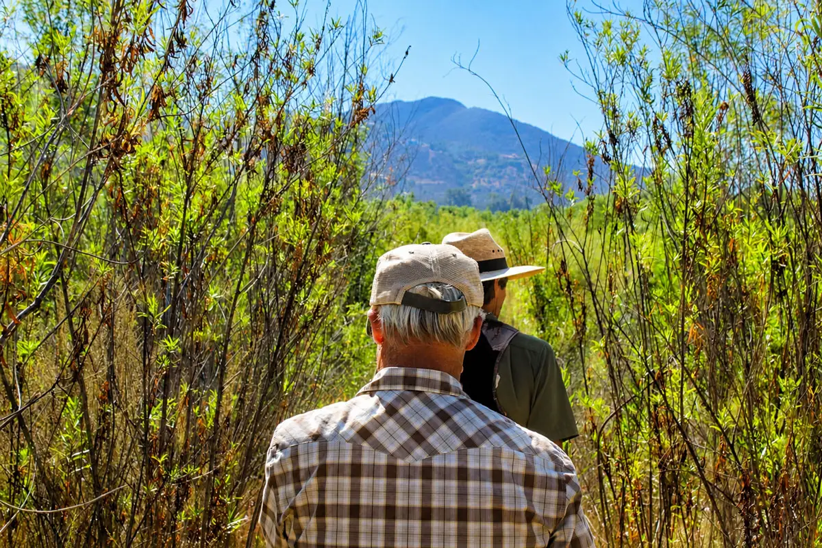 Del Dios Town Council members Brian Caldwell and Kevin Kidd hike througyh vegetation that would have been underwater if Lake Hodges’ water level was higher. Photo by Samantha Nelson