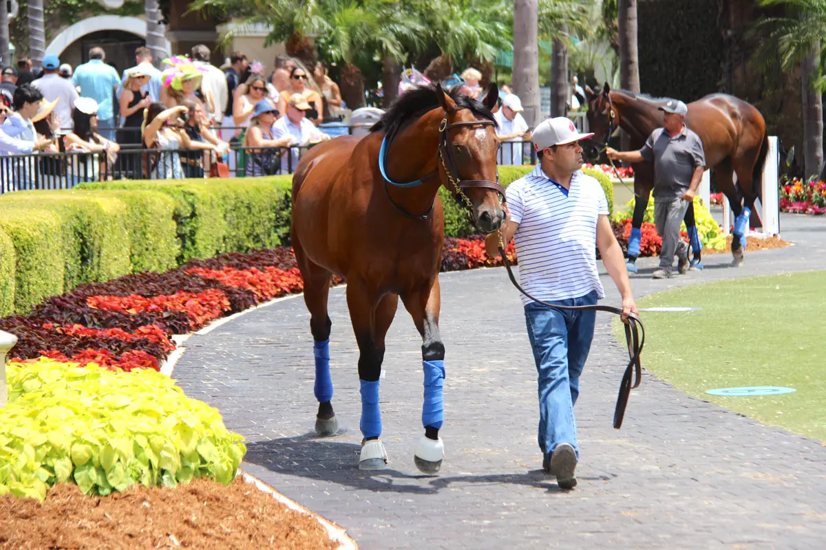 Over 100 horses were entered to race on Opening Day of Del Mar’s 2026 racing season that kicked off July 17. Photo by Leo Place