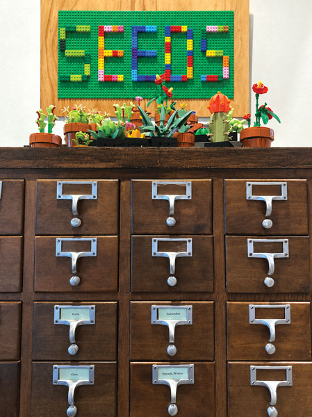 Carlsbad Seed Library offers hundreds of free seeds each month. Above, library seed cupboards at Cole Library decorated with children’s Lego projects. Photo by Jano Nightingale