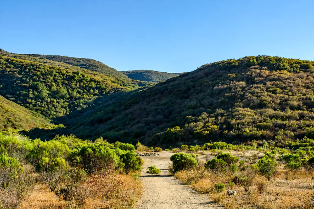 The 40-acre Rancho Tesoro park land is one of the last large undeveloped parcels in the city that could accommodate a community recreation facility. Photo by Leo Place
