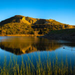 Calavera Lake sits within the Calavera Preserve in Carlsbad, where authorities said an Oceanside man sexually battered multiple women. Photo by Naya Na