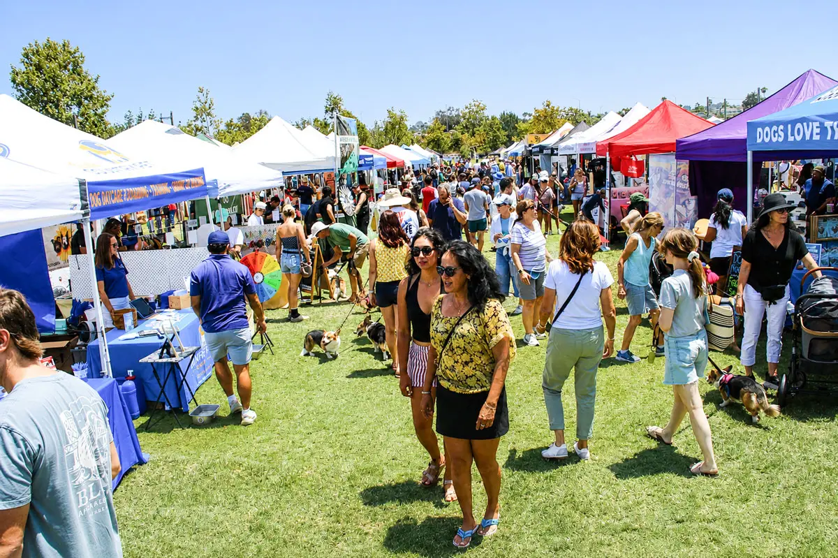 Thousands of people browse vendor booths with their dogs during the 21st annual Cardiff Dog Days of Summer on Aug. 2 at Encinitas Community Park. The event featured more than 100 vendors, rescue organizations, races and other canine activities. Photo by Cameron Adams