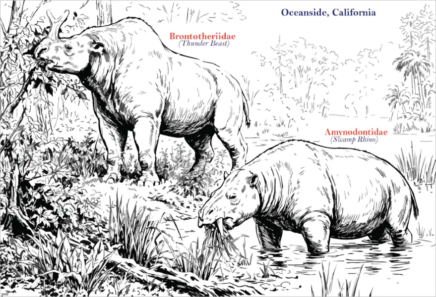 A rendering shows one possible identity of the fossils found in Oceanside in September. Courtesy photo/City of Oceanside